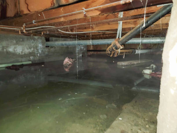Best 24/7 water damage repair  in Norwood, OK