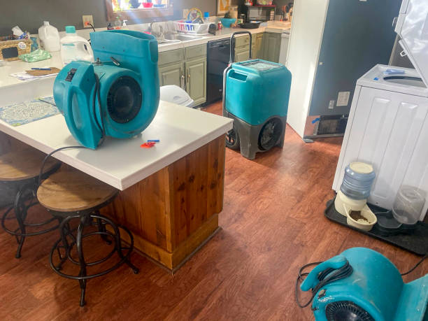Best Flood damage cleanup  in Norwood, OK