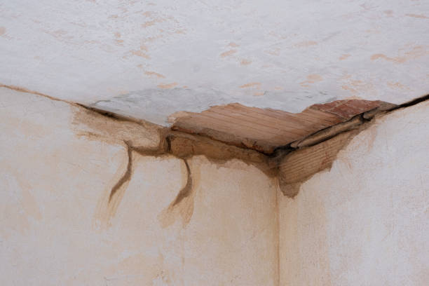 Best Water damage contractors near me  in Norwood, OK