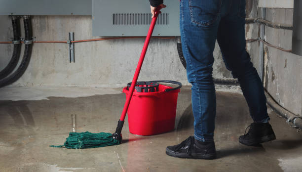 Best Water damage cleanup near me  in Norwood, OK
