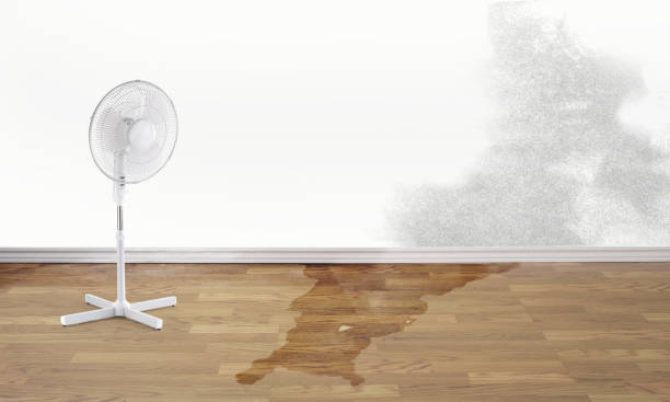 Best Residential water damage restoration  in Norwood, OK