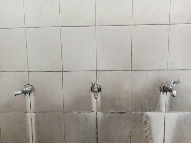 Best Water damage restoration specialists  in Norwood, OK