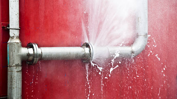 Best Water damage restoration mold remediation  in Norwood, OK