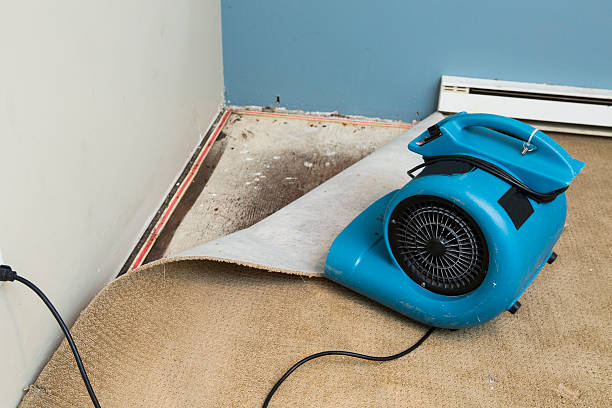 Best Water damage restoration near me  in Norwood, OK